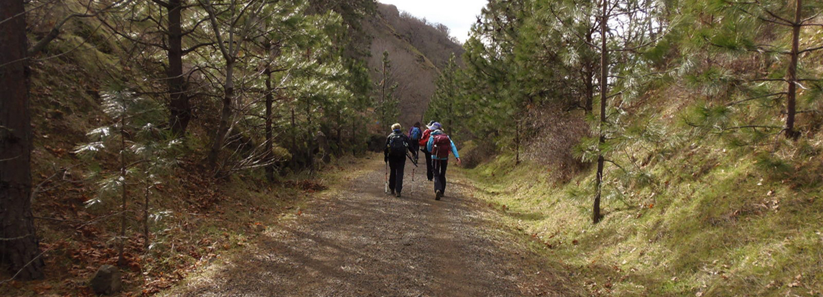 Klickitat Trail - Fisher Hill to Pitt